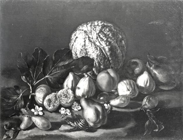 Anonimo — Anonimo romano sec. XVII/ XVIII - Natura morta con frutta, lumaca e gelsomini — insieme